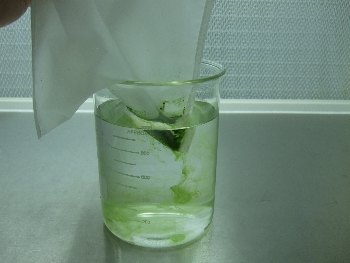 凍晶藻粉
