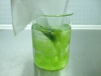 凍晶藻粉