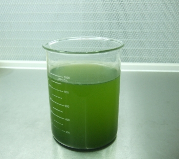 nanno-day6.jpg